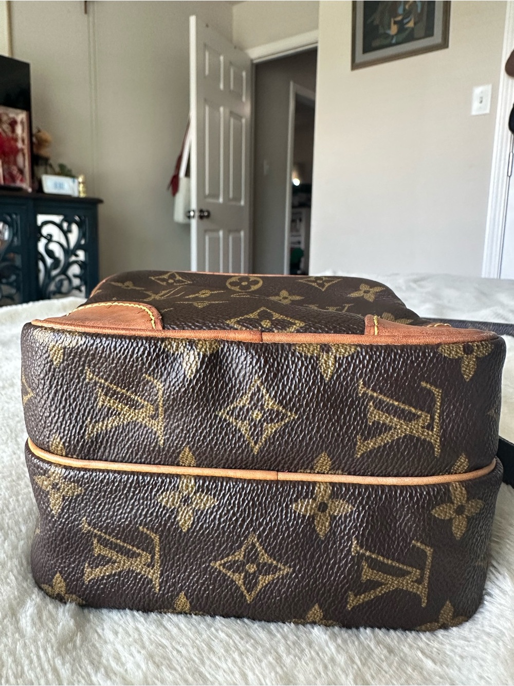 Louis Vuitton Amazone Crossbody Bag - Picture 5 of 16